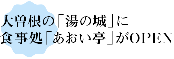 大曽根の「湯の城」に本格食事処「心」がオープン